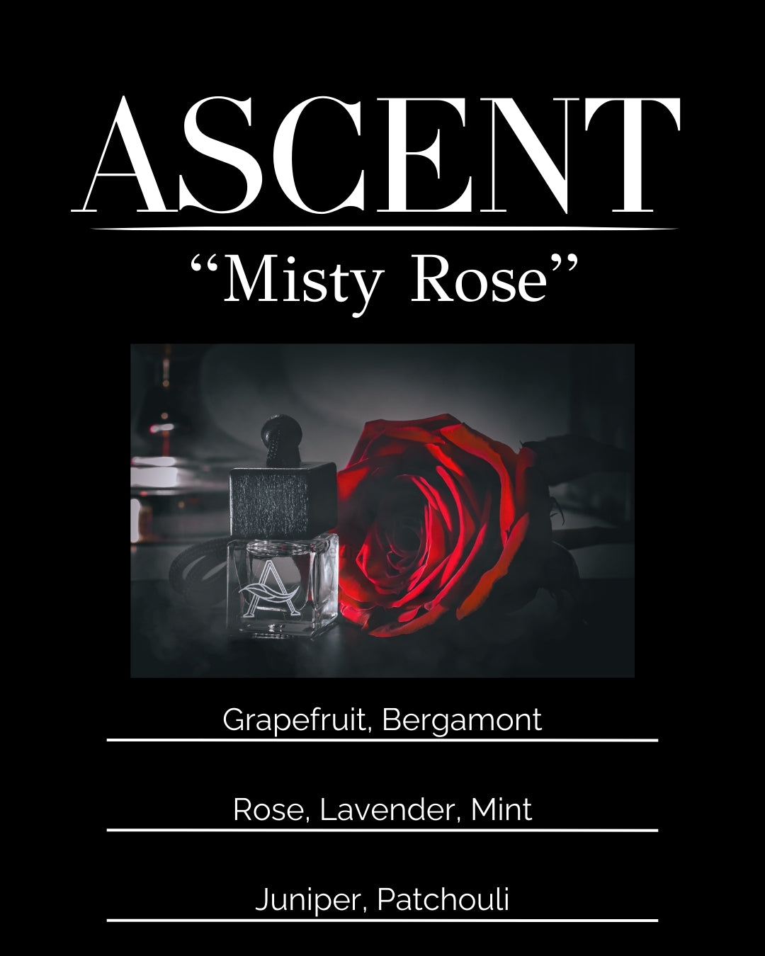 Misty Rose