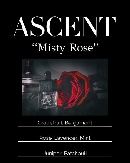 Misty Rose