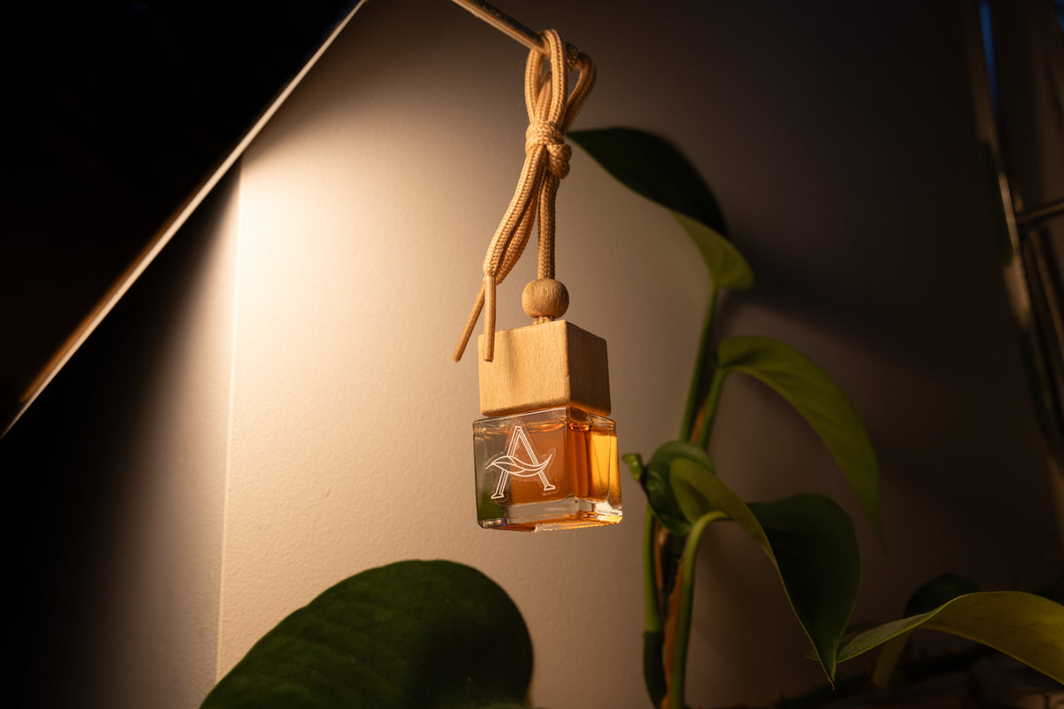 Spooky Dash | Streetlight x Ascent